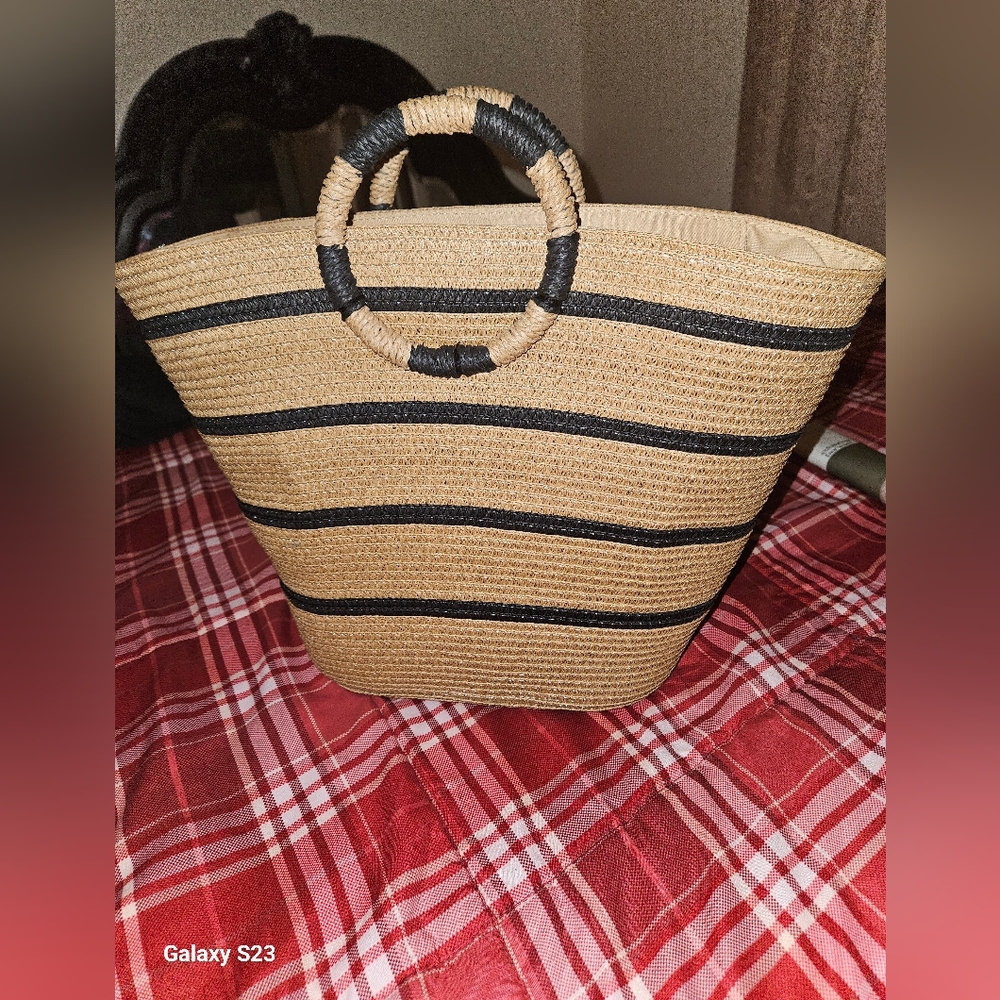 Striped Tan and Black Women Bag